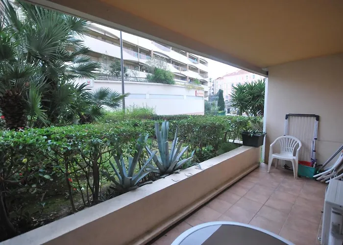 1 Petit Juas Daire Cannes
