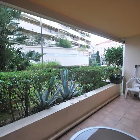 1 Petit Juas Daire Cannes